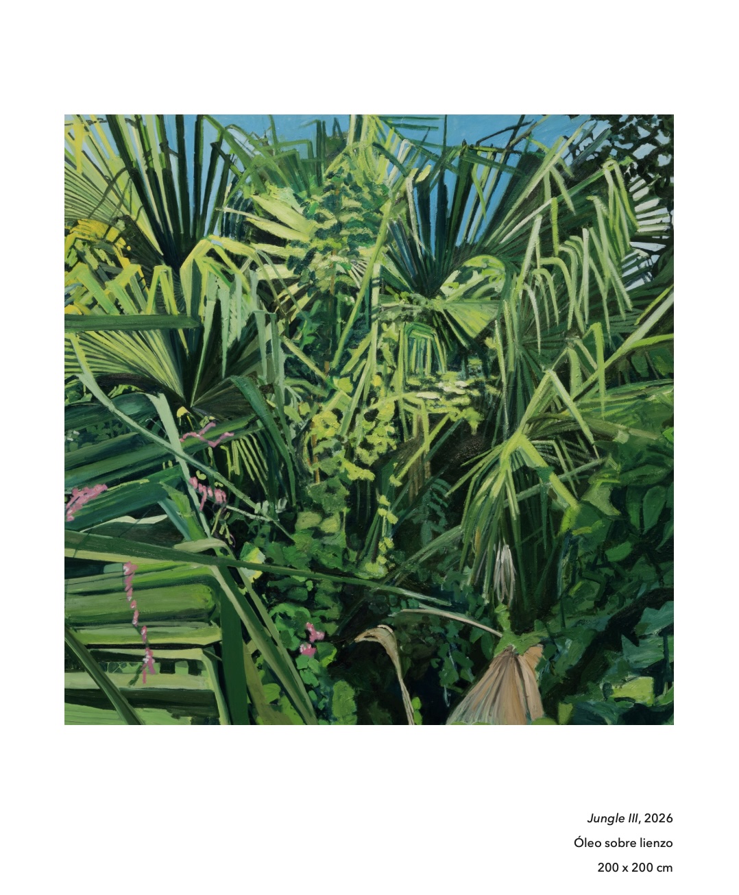Jungle 13 